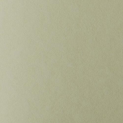 LAGUNA 90g./A4 - 05 CREAM 1/250