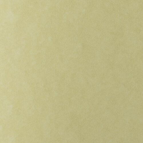 LAGUNA 90g./A4 - 07 OCHRE 1/250