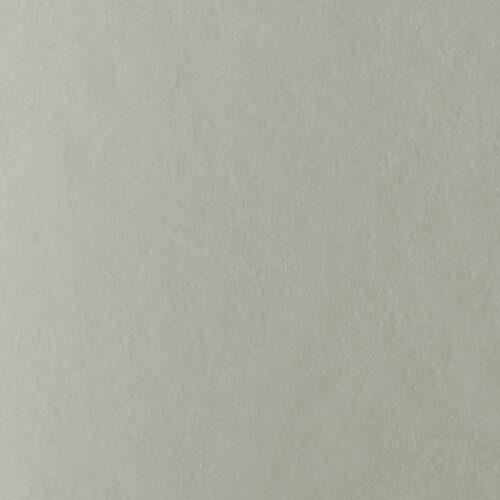 LAGUNA 180g./A4 - 02 NATUREL1/125