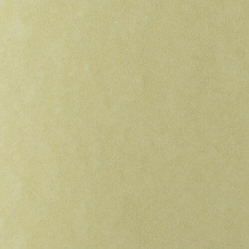 LAGUNA 180g./A4 - 07 OCHRE 1/125