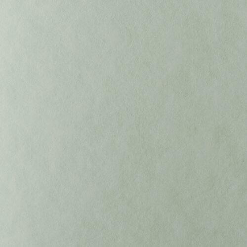 LAGUNA 180g./A4 - 10 GREEN 1/125