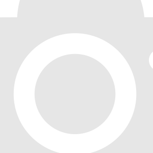 STABILO ROLER WORKER F (0,3mm)